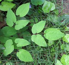 Related image